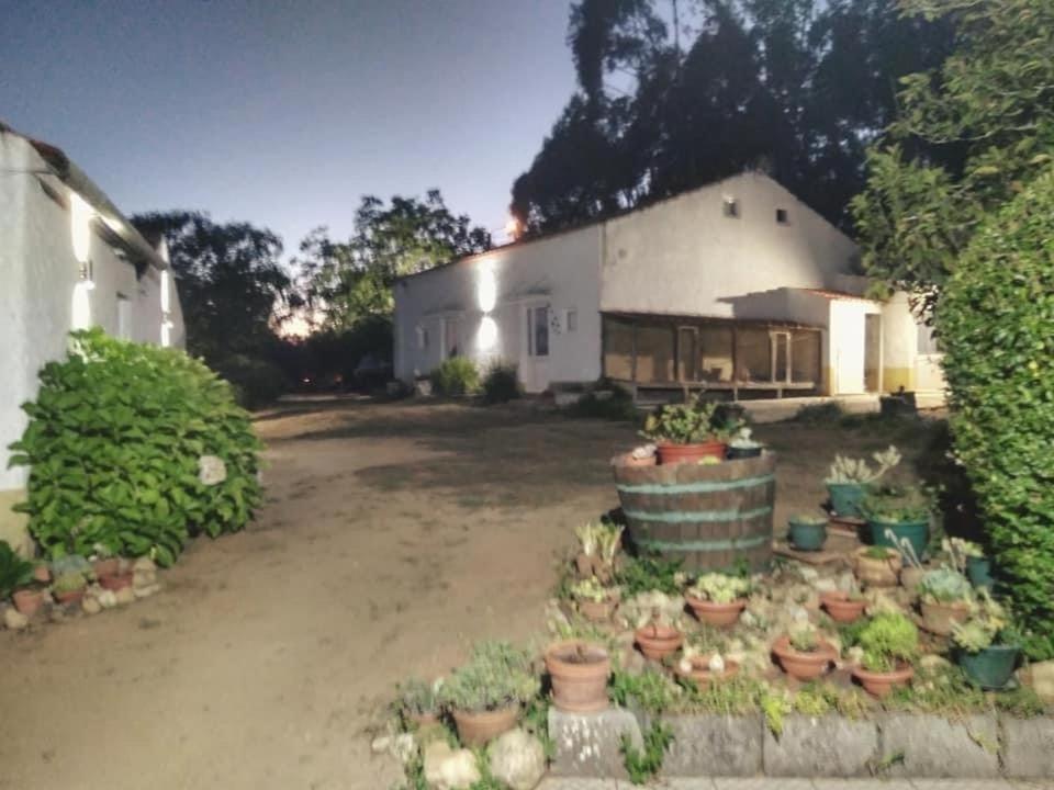 Villa Quinta Da Mesa Macinhata do Vouga Exterior foto