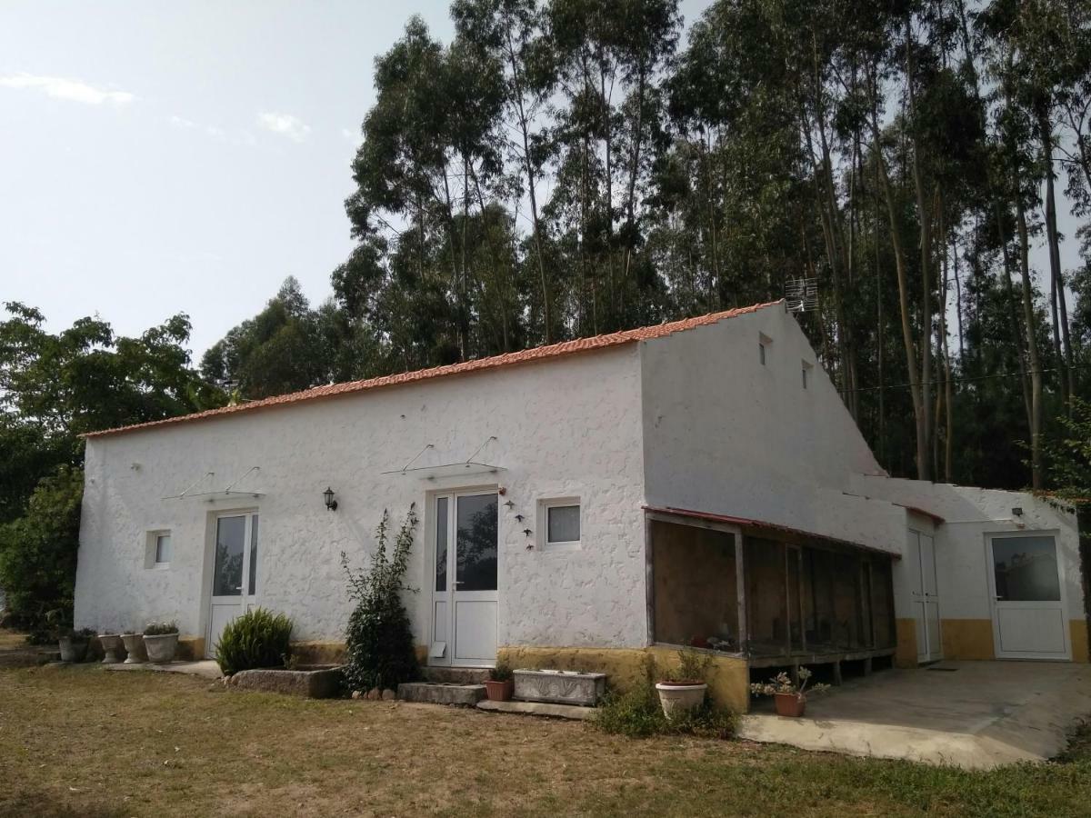 Villa Quinta Da Mesa Macinhata do Vouga Exterior foto